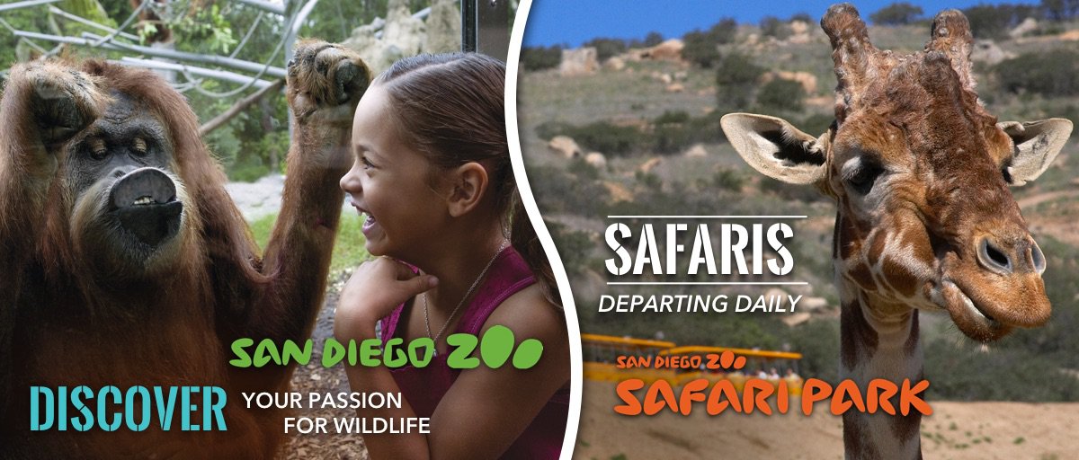 Discount tickets to San Diego Zoo and Safari Park