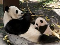 San Diego Attraction Deals