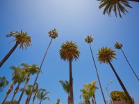 Orlando Family Vacation Package