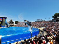 San Diego, California Vacation Packages